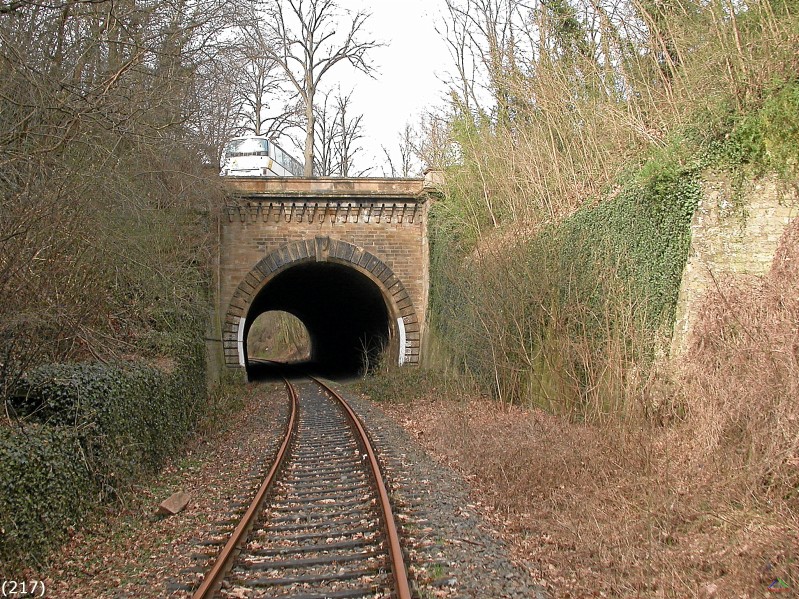 Bahn 217.jpg - Etwas weiter auf der Strecke der 70 m lange Meisenheimer Tunnel.